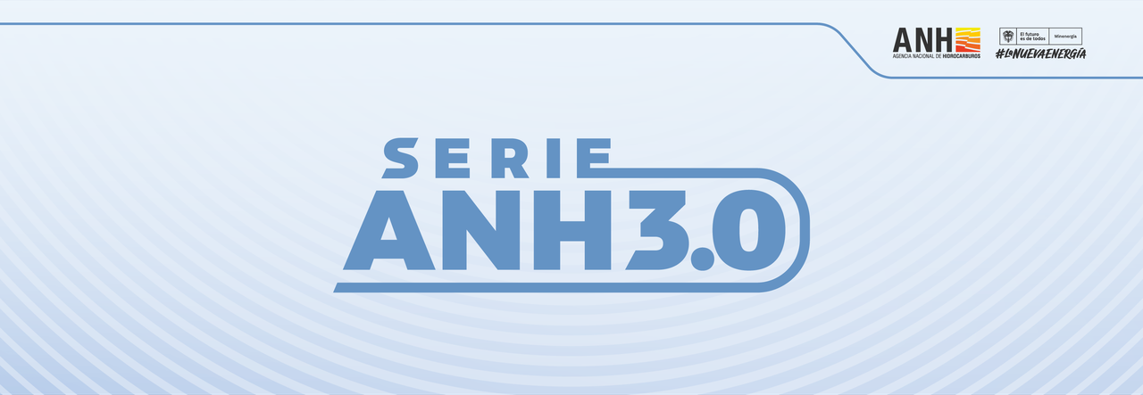 -SerieANH 1