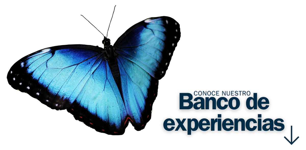 1-BannerPrincipal.original