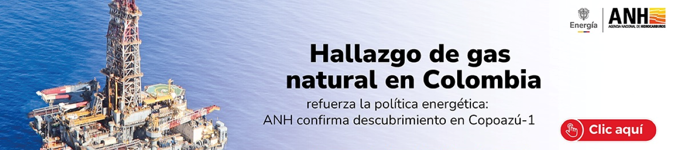 Banner descubrimiento copo