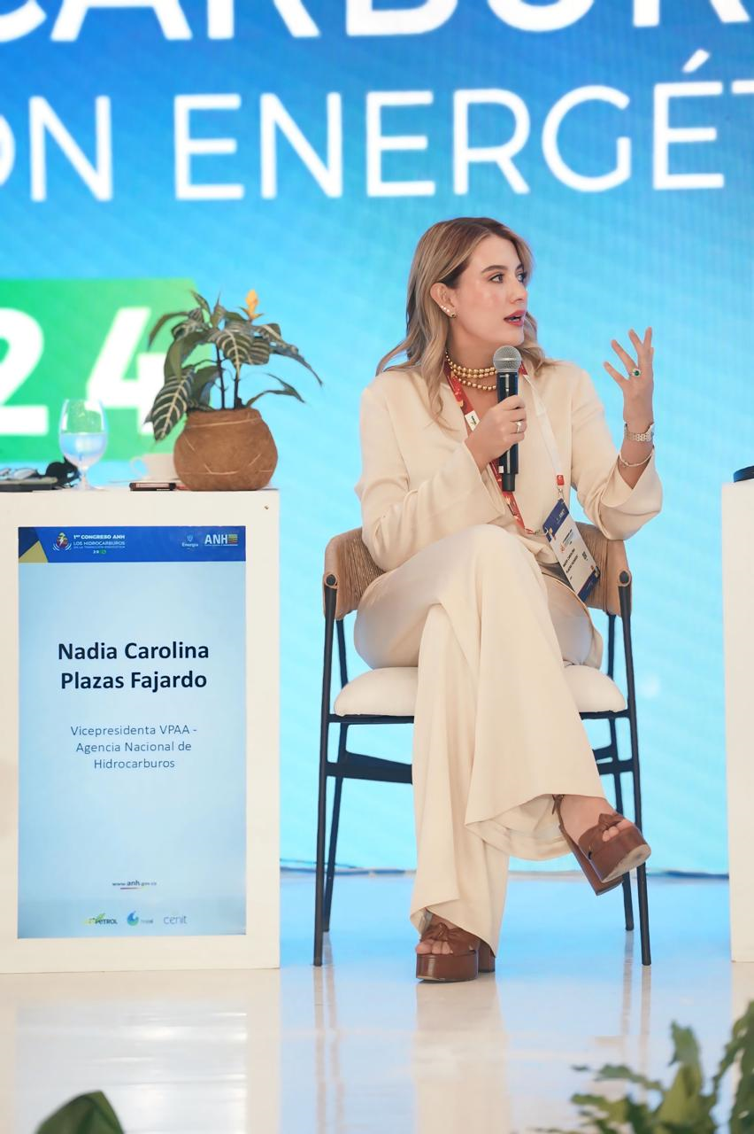 LA ARTICULACION INSTITUCIONAL, PIEZA CLAVE EN LAGENERACION DE NUEVOS PROYECTOS DE ENERGIA RENOVABLE_02