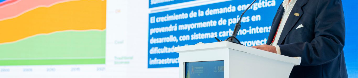 Los Hidrocarburos en la Transición Energética _ el Rol del Estado