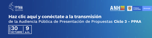 PPAA: Subasta de Ofertas 3er ciclo