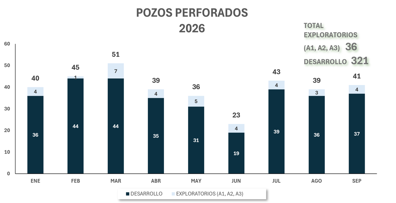 pozo desarrollado 2024 v2