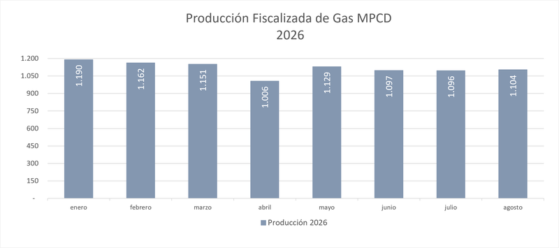 Producción fiscalizada gas 2026