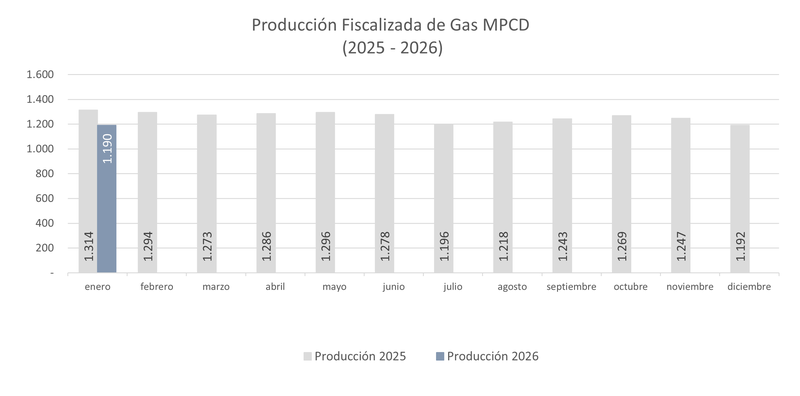 PROD FISCALIZADA GAS