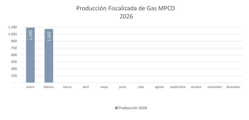 Producción gas febrero 2026