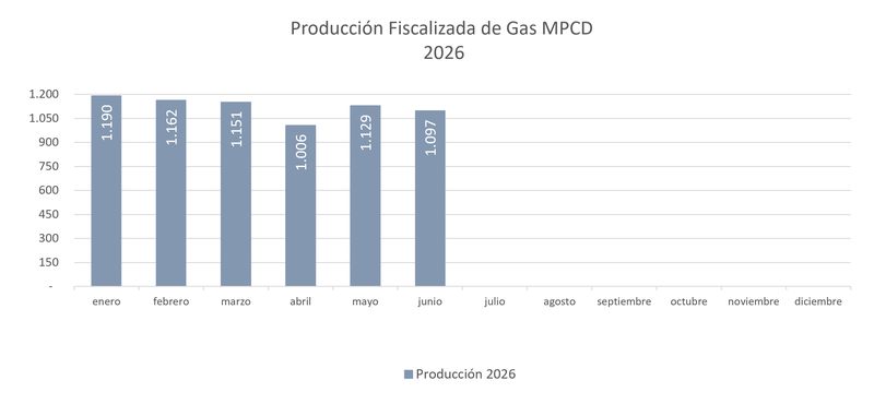 PRODUCCION FISCALIZADA GAS