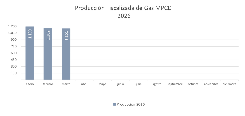 Producción fiscalizada gas 2026