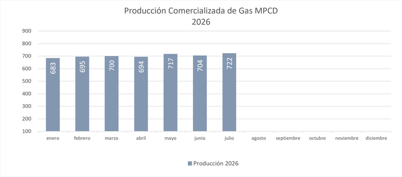 Producción comercializada gas 2026