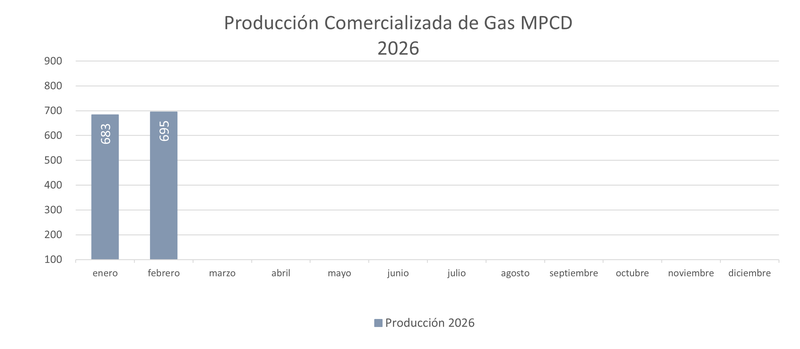 Producción comercializada gas 2026
