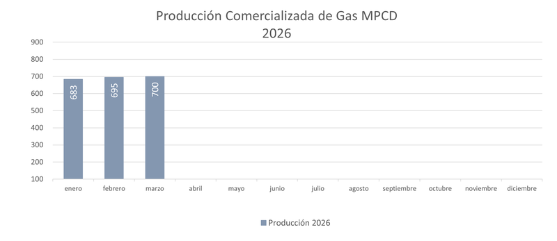 Producción comercializada gas 2026