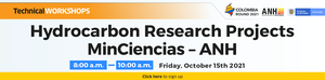 Technical WORKSHOPS - Hydrocarbon Research Projects MinCiencias - ANH