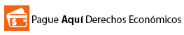 iconopagos2