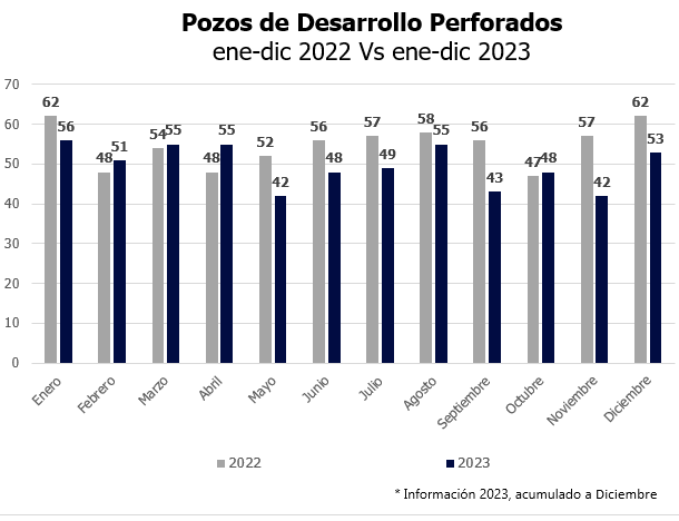 pozo desarrollado 2024 v2
