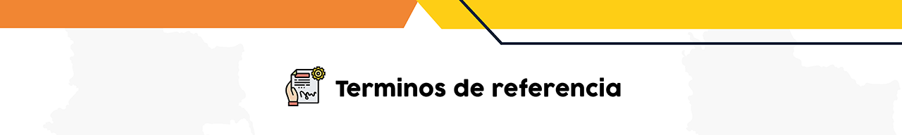 terminos de referencia